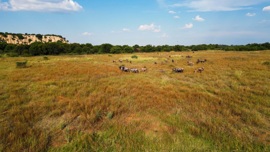 0 Bedroom Property for Sale in Hennenman Rural Free State